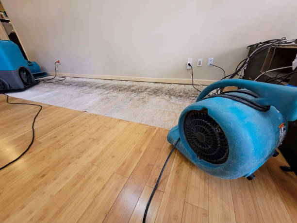 Professional Burst Pipe Water Damage technician working in Garden City, ID